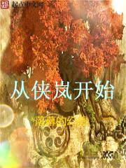 从侠岚开始