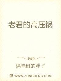 老君的高压锅