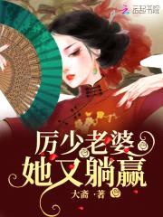 妖妻撩人:少帅,超猛的!