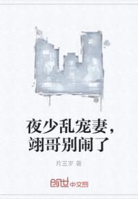 夜少乱宠妻,翊哥别闹了