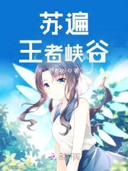 快穿王者荣耀:英雄,花式撩
