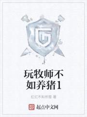玩牧师不如养猪
