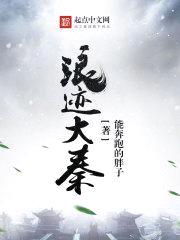 浪迹大秦