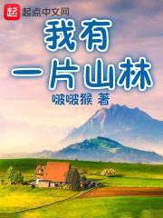 我有一片山林