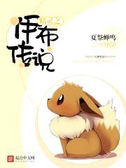 精灵之伊布传说