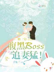 一胎二宝:腹黑Boss追妻猛!