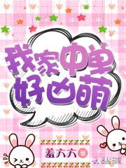 男神强势撩:高冷娇妻,夜夜宠!