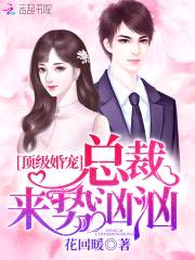顶级婚宠:总裁来势汹汹