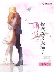 傅少,你老婆又变猫了