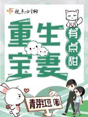重生七零有宝妻