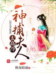 县太爷追妻:神捕夫人太高冷