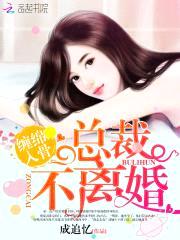 缠绵入骨:总裁不离婚