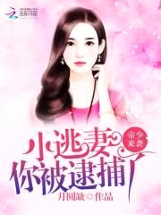 帝少来袭:小逃妻,你被逮捕了