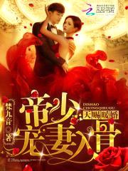 天赐暖婚:帝少宠妻入骨