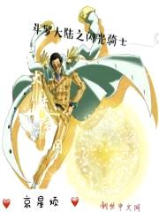 斗罗大陆之闪光骑士