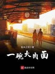 一碗大rou面