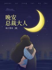 晚安,总裁大人