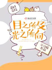 目之所及，光之所向