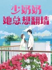 甜妻要翻墙:先生,早上好