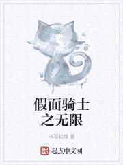 假面骑士之无限
