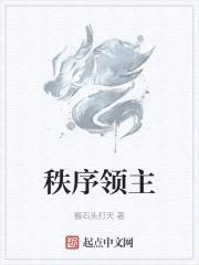 秩序领主
