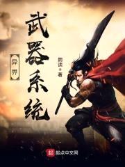 异界武器系统