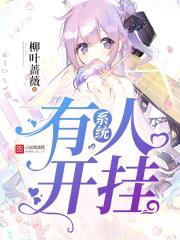 系统，有人开挂