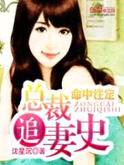命中注定:总裁追妻史