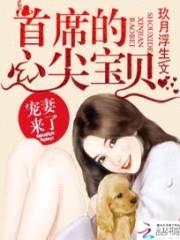 宠妻来了:首席的心尖宝贝