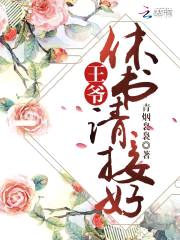 七夜宠妃:王爷,我要休了你