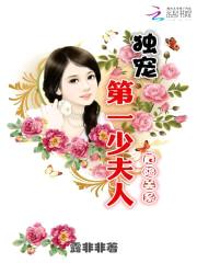 危险关系:独宠第一少夫人