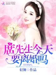 天价少夫人:第101次离婚