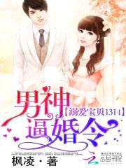 男神逼婚令:溺爱宝贝1314