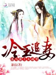 冷王追妻:菜鸟谋士太顽劣