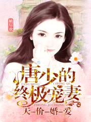 天价婚爱:唐少的终极宠妻