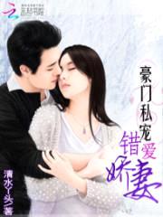 豪门私宠:错爱娇妻