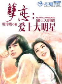 孽恋:爱上大明星