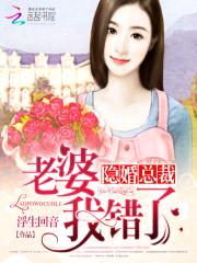 隐婚总裁:老婆我错了