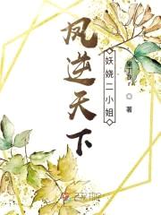 凤逆天下:妖娆二小姐