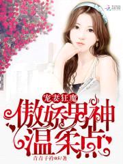 宠妻狂魔:傲娇男神温柔点