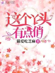 贵少来袭:丫头,乖一点