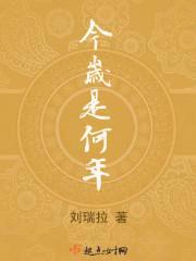 今岁是何年