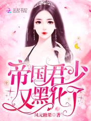帝国第一宠:君少撩妻100式
