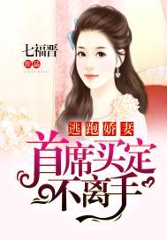 逃跑娇妻:首席买定不离手